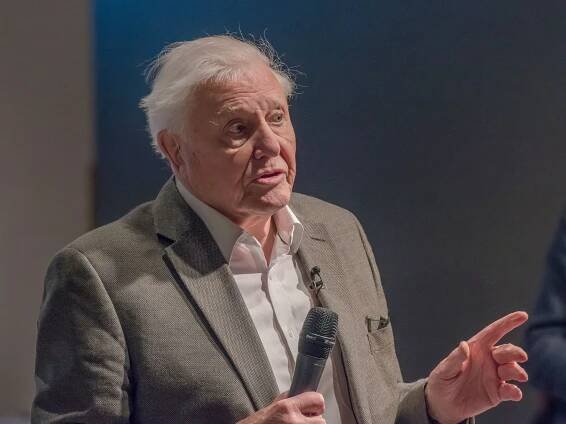 David Attenborough's unique childhood living conditions with padded cells