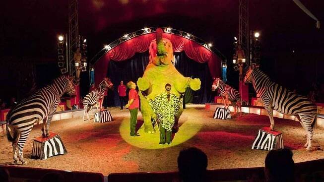 Cirkus Berousek se vrací po šesti letech