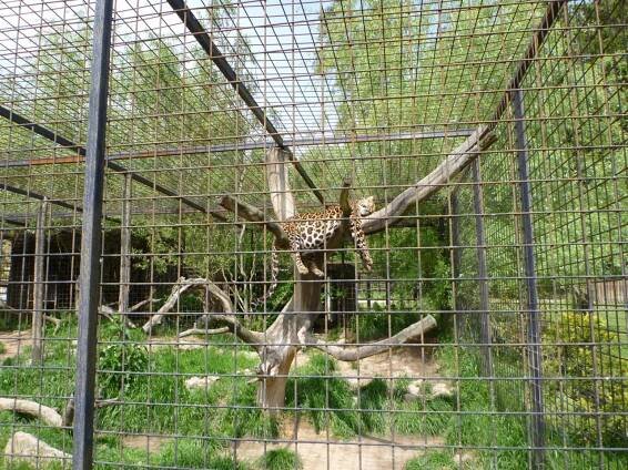 Školní výlet do Borovan a ZOO Dvorec - Oficiální stránky ZŠ a MŠ Přídolí