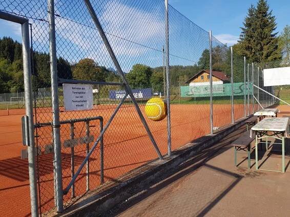 Tenis