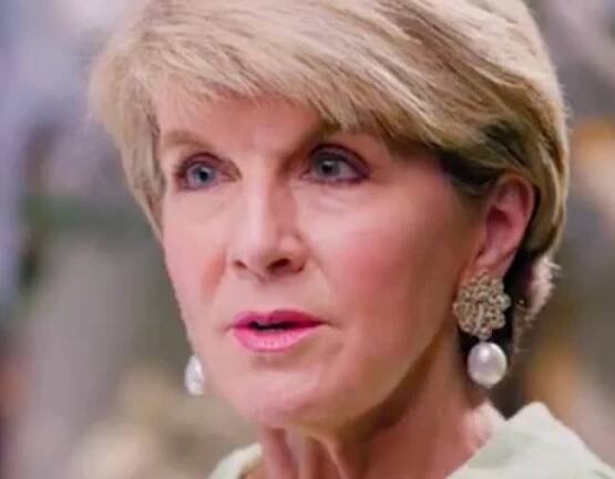 "No better than school children." Julie Bishop on the bullying culture of Australian politics.