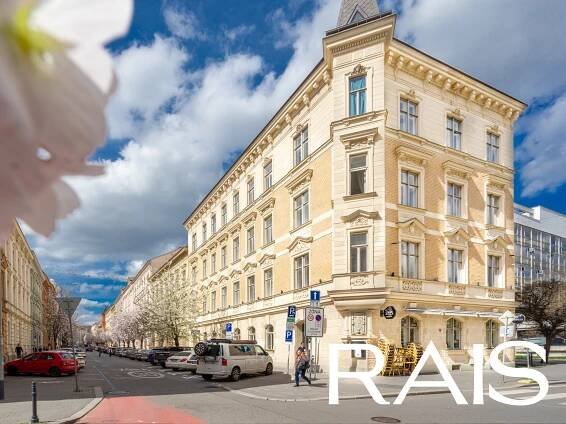 Jaselská byt 4+1 (151 m2)
