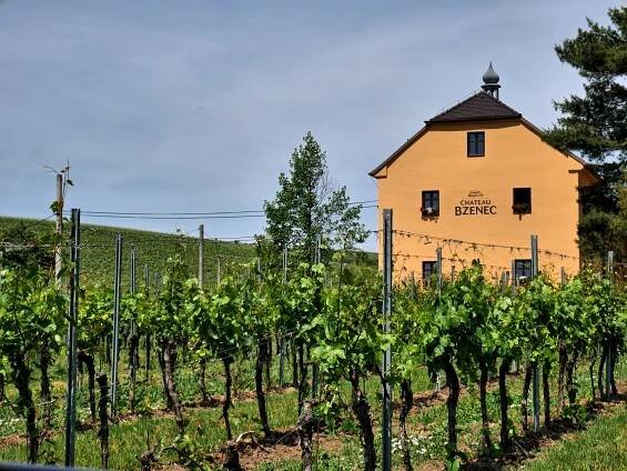 Chateau Bzenec