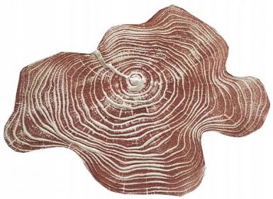 Forma kmen stromu, průřez, náplast 43x33 cm Kód výrobce 1122