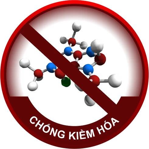 Sơn Kimono Việt Nam