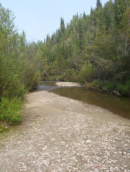 Soubor:Discovery Claim at Bonanza Creek (1).JPG