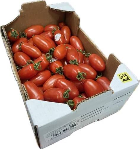 Rajčata cherry - baby San Marzano (Sweet marzanito), bedýnka