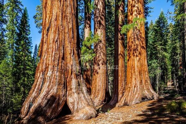 USA dovolená a zájezdy | New Travel.cz