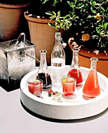 fruit and herb shrubs