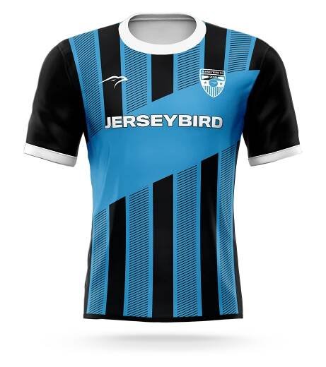 JerseyBird Soccer Kit Inspiration 