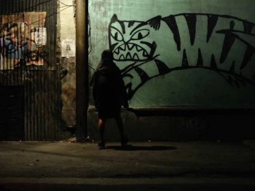 Tigers Are Not Afraid review: a poignant fantasy about the Mexican drug war