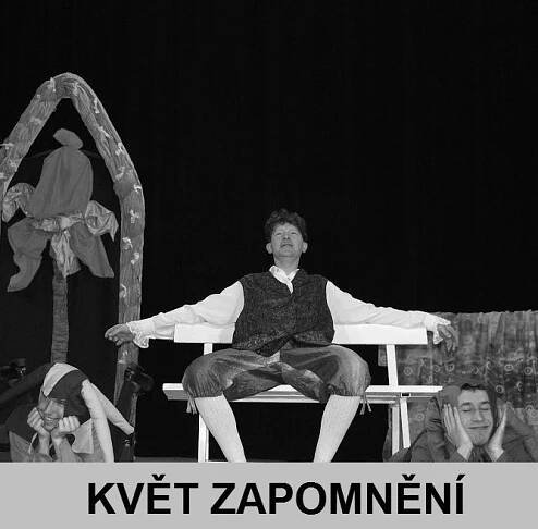 Květ zapomnění