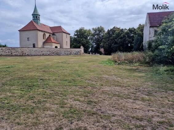 Prodej Pozemek, Bělušice - Bedřichův Světec, okres Most