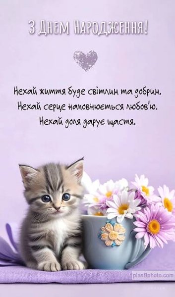 Картинка привітання з днем народження з котиком