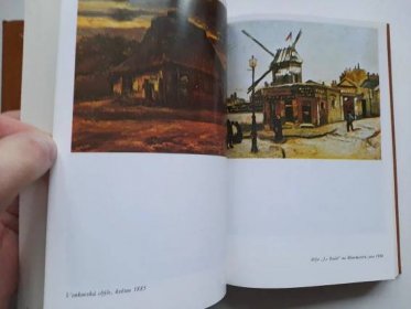 Kniha Žízeň po životě - román o Vincentu van Goghovi - Trh knih - online antikvariát