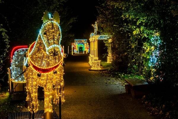 Praha, areál Džbán: Světla Času (světelná výstava se spojila s dinosaury)