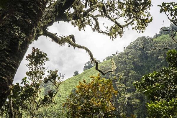 Trek Kerinci : hiking and adventure in Indonésie – MANDARA