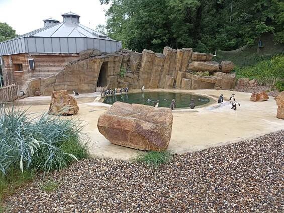 ŠKOLNÍ VÝLET – ZOO ÚSTÍ NAD LABEM