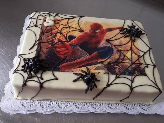SPIDERMAN MARCIPÁN