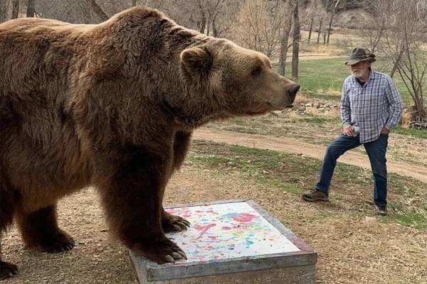 bart the bear ii obituary