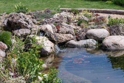 Realizace zahradních jezírek, potoků a biotopů - Zahradnictví Lisý