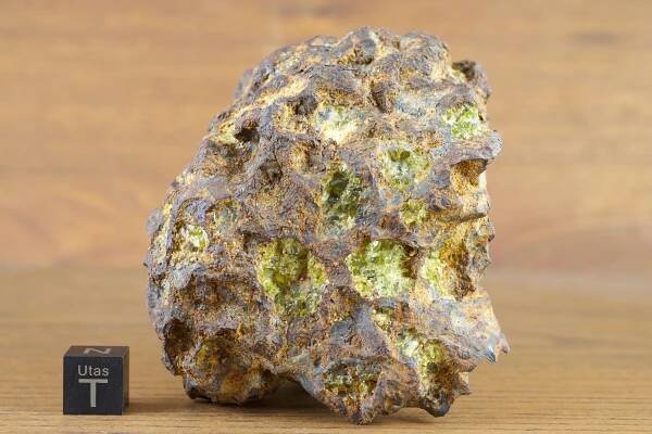 Imilac pallasite meteorite