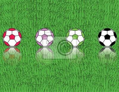 fotbal