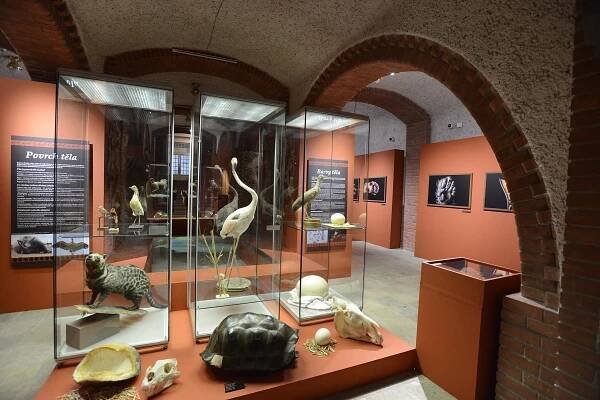 Doteky Afriky - výstava - Muzeum východních Čech v Hradci Králové