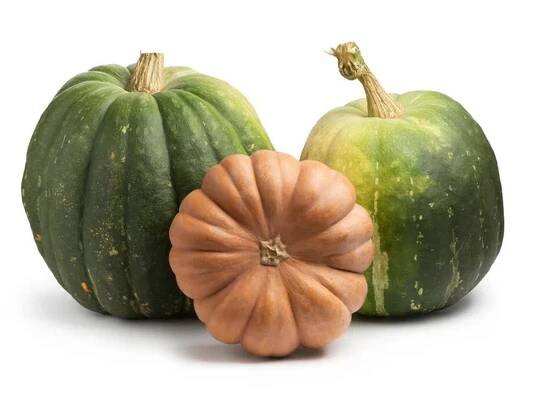 Velké zelené a oranžové dýně izolované na bílém pozadí se stíny — Stock obrázek