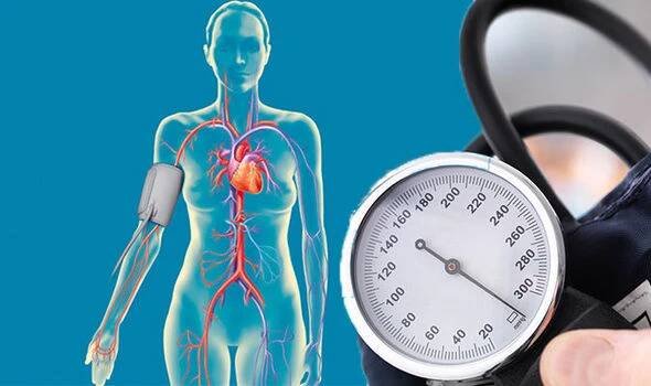Cholesterol: jak je to s ním doopravdy