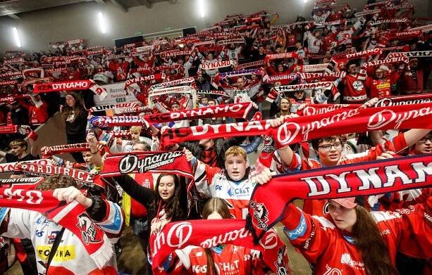 Glosa: Pozdě, ale přece. Fanoušci přiměli vedení Dynama nestrčit hlavu do písku