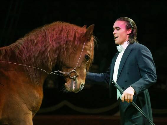 PODÍVEJTE SE: Půvabná akrobatka i špičková drezura. Přijel cirkus Humberto