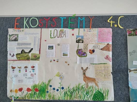 Ekosystémy (4.C)