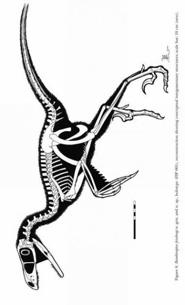 (PDF) Remarkable new birdlike dinosaur (Theropoda: Maniraptora) from the Upper Cretaceous of Montana