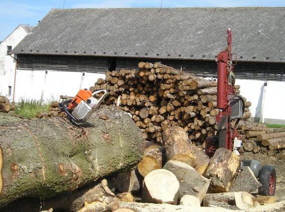 Jiří Lang - štípané dřevo foto 3