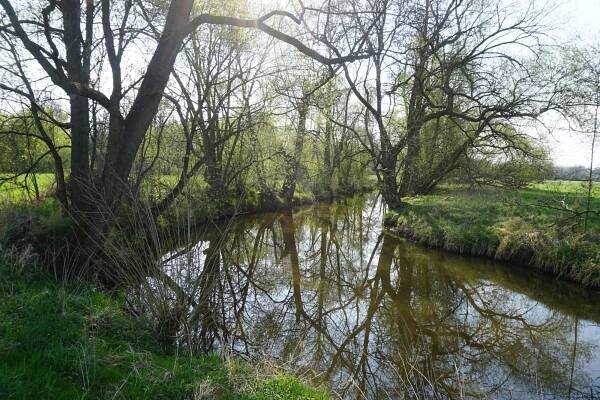 Moravská Dyje: Kouzelné moravské meandry v Jihočeském kraji | Vodárenství.cz