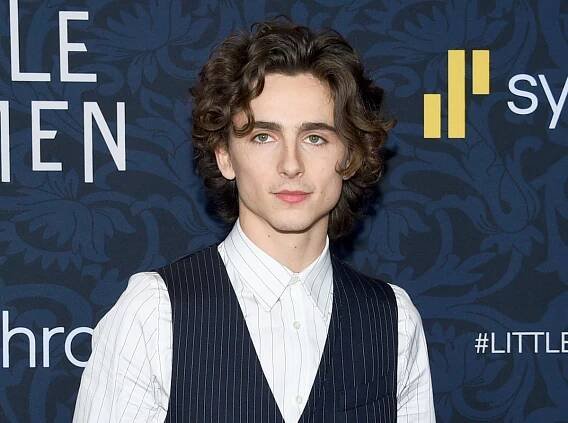 Timothée Chalamet to play Willy Wonka in origin story Luca Guadagnino Wes Anderson Johnny Depp Adam McKay David Heyman