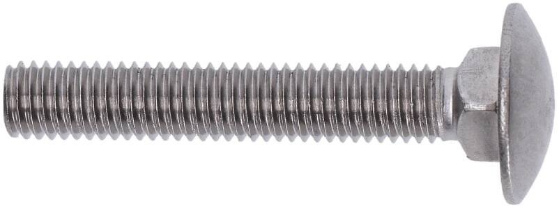 Nerezový šroub vratová (M5x20mm), DIN603F /AISI304 - Image 2