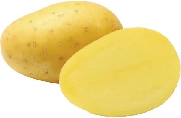 Brambory ANTONIA sadbové žluté polorané 10 kg