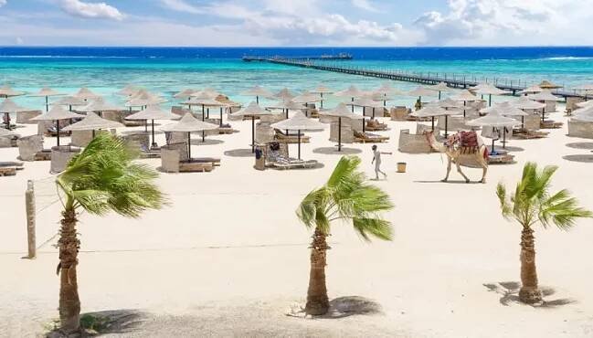 Počasí Marsa Alam v únoru - objevování a zkoumání podmořského světa