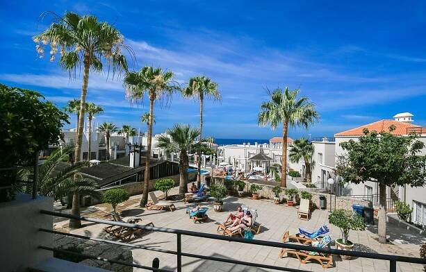 Olivos Costa Adeje (Tenerife)