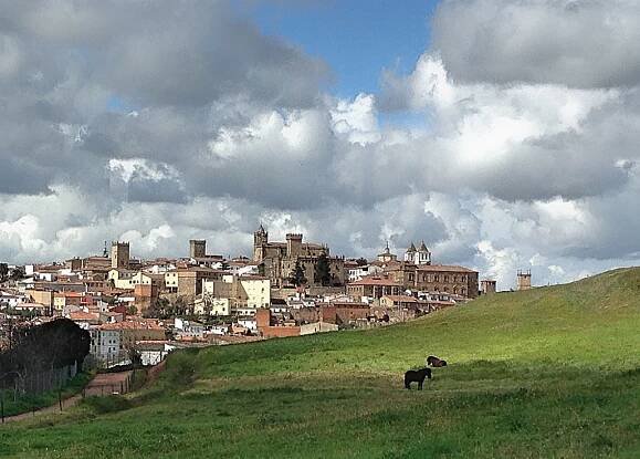 Caceres Distance