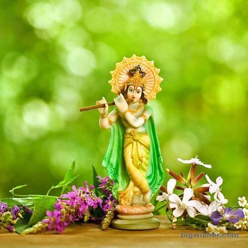 Lord krishna images 6