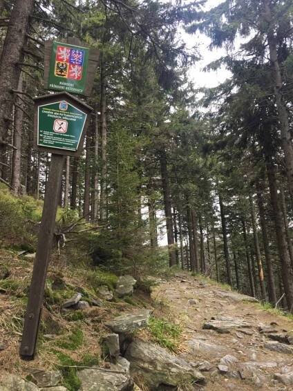 Okružní turistický výlet přes Šerák, Keprník a Vozku