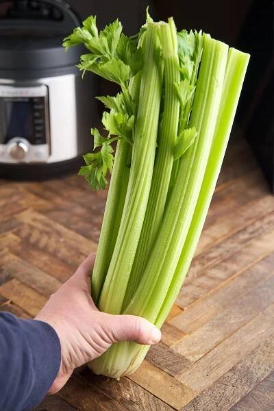 Price: €1.55 - Utah Celery Seeds (apium graveolens)