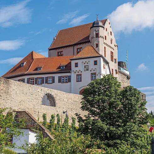 Burg Alzenau
