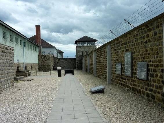 Marikatrv - Médium.cz