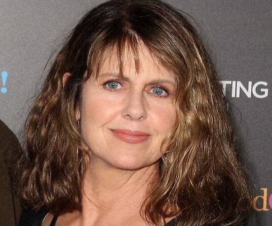 Pam Dawber Biography - Facts, Childhood, Family Life & Achievements of Actress