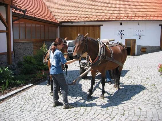 Farma Olšovka