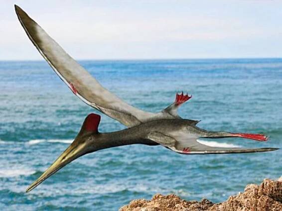 Sestřelení prehistorického pterodaktylu.